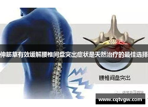 伸筋草有效缓解腰椎间盘突出症状是天然治疗的最佳选择 伸筋草有效缓解腰椎间盘突出症状是天然治疗的最佳选择