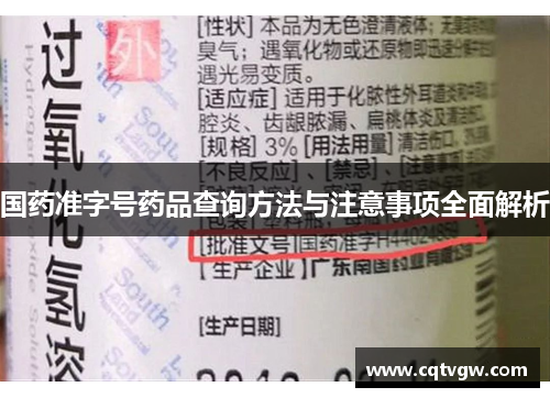 国药准字号药品查询方法与注意事项全面解析